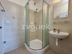 Pronájem bytu 2+1, Zlín, K. Světlé, 60 m2
