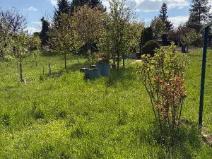 Prodej zahrady, Šlapanice, Nádražní, 936 m2