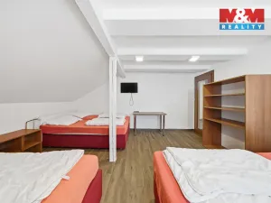 Prodej ubytování, Čenkovice, 297 m2