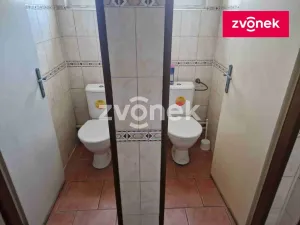 Prodej výrobních prostor, Louka, 2890 m2