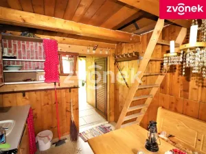 Prodej louky, Brumov-Bylnice - Brumov, 497 m2