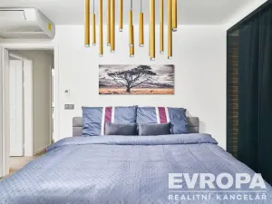 Pronájem atypického bytu, Praha - Vinohrady, Šafaříkova, 120 m2