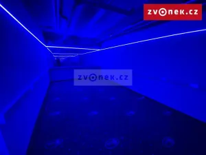 Prodej obchodního prostoru, Holešov, Novosady, 500 m2