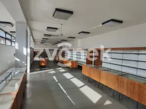 Pronájem obchodního prostoru, Polešovice, 320 m2