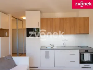 Prodej bytu 1+kk, Zlín, Zálešná II, 31 m2