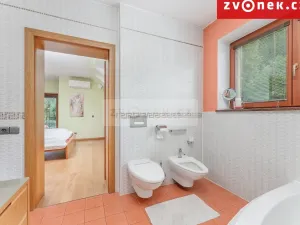 Prodej vily, Hranice - Hranice I-Město, 540 m2