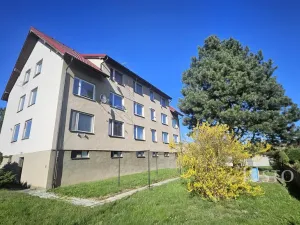 Prodej bytu 2+1, Blatná, Čechova, 59 m2