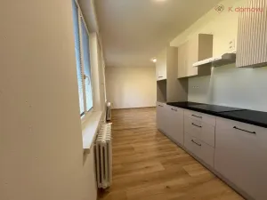 Prodej bytu 1+kk, Hodonín, Lipová alej, 39 m2