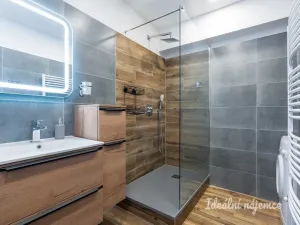 Pronájem bytu 2+kk, Praha - Libeň, Davídkova, 57 m2