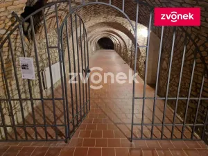 Pronájem obchodního prostoru, Uherské Hradiště, 650 m2