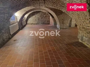 Pronájem obchodního prostoru, Uherské Hradiště, 650 m2