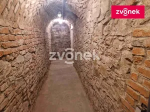 Pronájem obchodního prostoru, Uherské Hradiště, 650 m2