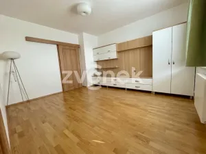 Pronájem bytu 3+kk, Zlín, Plesníkova, 118 m2