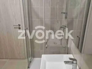 Pronájem bytu 1+kk, Uherské Hradiště, 30 m2
