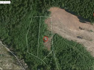 Prodej lesa, Načeradec - Horní Lhota, 3382 m2