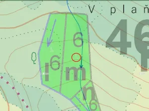 Prodej lesa, Načeradec - Horní Lhota, 3382 m2