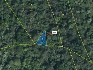 Dražba lesa, Podhořany u Ronova, 129 m2