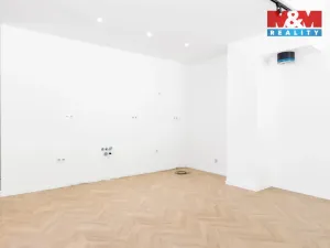 Prodej bytu 3+kk, Ostrava - Radvanice, Dvořáčkova, 100 m2