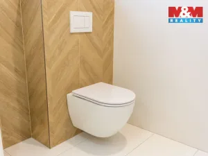 Prodej bytu 3+kk, Ostrava - Radvanice, Dvořáčkova, 100 m2