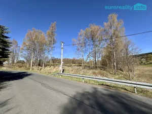 Prodej pozemku pro bydlení, Bublava, 1064 m2