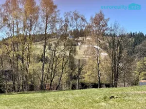 Prodej pozemku pro bydlení, Bublava, 1548 m2