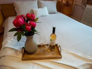 Prodej ubytování, Třeboň - Třeboň II, Hliník, 334 m2