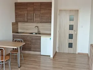 Pronájem bytu 1+kk, Ostrava - Moravská Ostrava, Lechowiczova, 30 m2