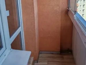 Pronájem bytu 1+kk, Ostrava - Moravská Ostrava, Lechowiczova, 30 m2