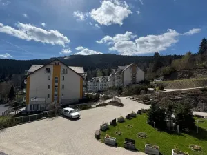 Prodej apartmánu, Dolní Morava, 28 m2