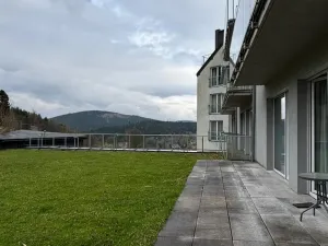 Prodej apartmánu, Dolní Morava, 44 m2