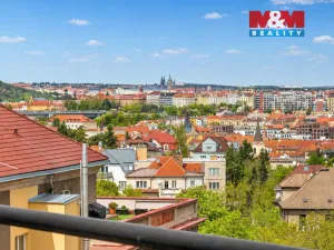 Prodej bytu 2+kk, Praha - Nusle, U družstva Repo, 111 m2