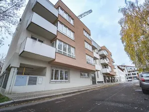 Prodej bytu 1+kk, Praha - Žižkov, U staré cihelny, 41 m2