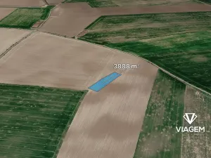 Prodej podílu pole, Trojovice, 1944 m2