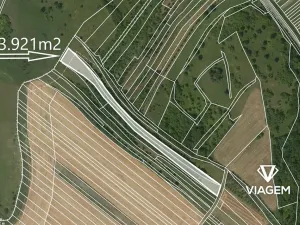 Prodej zahrady, Nenkovice, 3921 m2