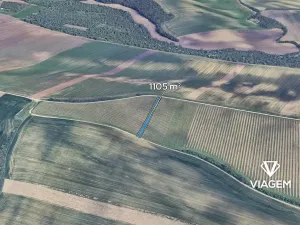 Prodej podílu pole, Šitbořice, 368 m2