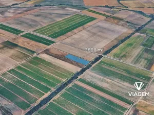 Prodej pole, Dřísy, 3858 m2