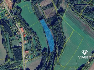 Prodej podílu lesa, Trutnov, 5014 m2