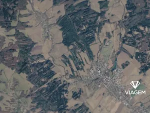 Prodej lesa, Slavičín, 8866 m2