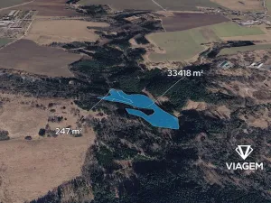 Prodej podílu lesa, Tábor, 3740 m2