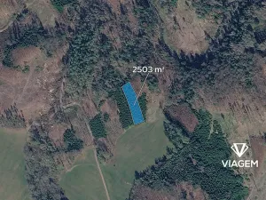 Prodej podílu lesa, Chotěboř, 834 m2