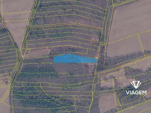 Prodej podílu lesa, Březůvky, 1828 m2