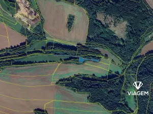 Prodej lesa, Rozstání, 2096 m2