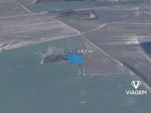 Prodej podílu lesa, Vendolí, 2583 m2