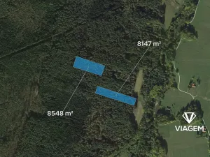 Prodej podílu lesa, Suchdol nad Lužnicí, 13912 m2