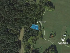 Prodej podílu lesa, Suchdol nad Lužnicí, 1367 m2