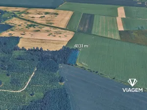 Prodej podílu lesa, Sviny, 1377 m2