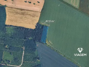 Prodej podílu lesa, Sviny, 1377 m2