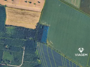 Prodej podílu lesa, Sviny, 1377 m2