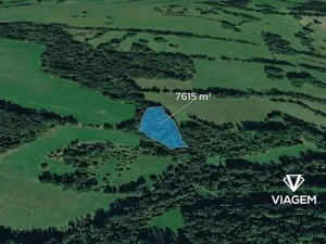 Prodej podílu lesa, Heřmanov, 2538 m2