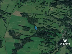 Prodej podílu lesa, Heřmanov, 2538 m2